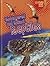 Endangered and Extinct Reptiles (Lightning Bolt Books)