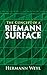The Concept of a Riemann Surface