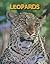 Leopards (Living in the Wild: Big Cats)