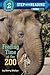 Feeding Time at the Zoo (Step into Reading)