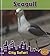 Seagull: City Safari (Heinemann Read and Learn: City Safari)