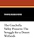 The Coachella Valley Preserve: The Struggle for a Desert Wetlands (Great Issues of the Day,)