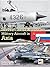 Soviet And Russian Military Aircraft In Asia by Dmitriy Komissarov