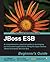 JBoss ESB Beginner's Guide