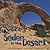 Seder in the Desert