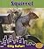 Squirrel: City Safari