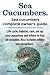 Sea Cucumbers. Seacucumbers complete owner's guide. Life cycle, habitat, care, set up your aquarium and where to buy all included. Also includes edible sea cucumbers.