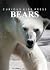 Bears - All about bears kid...