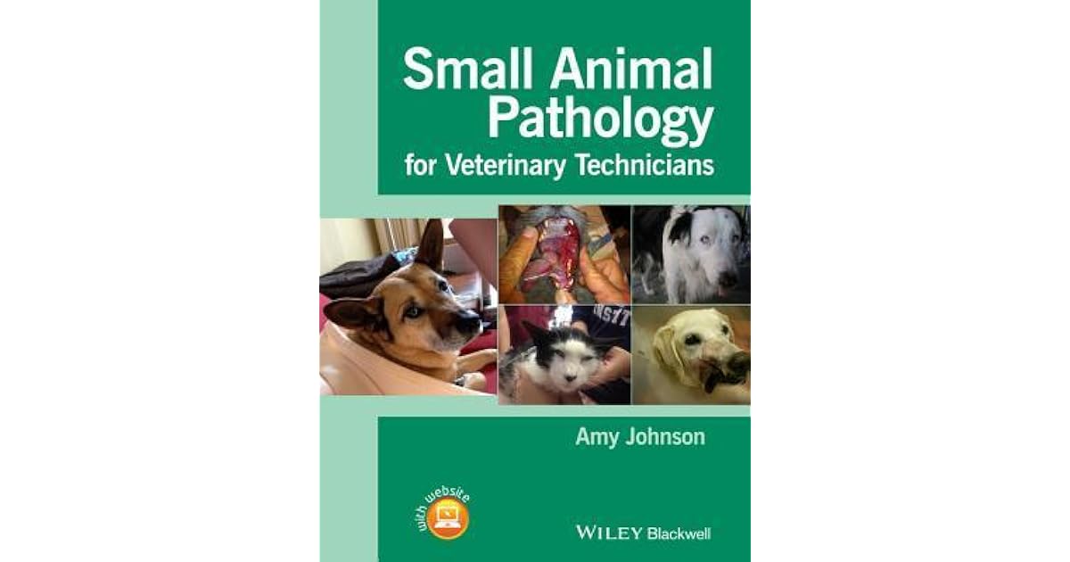 Small Animal Pathology for Veterinary Technicians by Amy Johnson