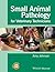 Small Animal Pathology for Veterinary Technicians