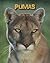 Pumas (Living in the Wild: Big Cats)
