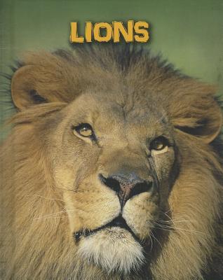 Lions (Living in the Wild: Big Cats)