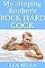 My Sleeping Brother's Rock Hard Cock