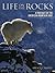 Life on the Rocks: A Portrait of the American Mountain Goat
