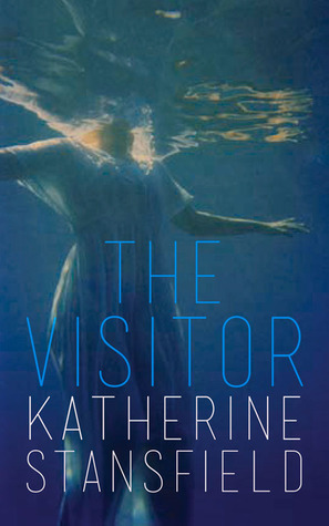 The Visitor (Hardcover)