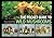 The Pocket Guide to Wild Mushrooms: Helpful Tips for Mushrooming in the Field