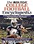 The USA TODAY College Football Encyclopedia: A Comprehensive Modern Reference to America's Most Colorful Sport, 1953-Present