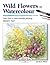 Wild Flowers in Watercolour (Step-by-Step Leisure Arts)
