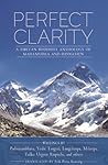 Perfect Clarity by Marcia Binder Schmidt