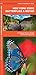 New York State Butterflies & Moths: An Introduction to Familiar Species (State Nature Guides)