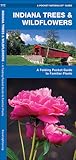 Indiana Trees & Wildflowers: A Folding Pocket Guide to Familiar Plants (Nature Observation North America)