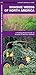 Invasive Weeds of North America (Nature Observation North America)