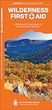 Wilderness First Aid: A Folding Pocket Guide to Common Sense Self Care (Outdoor Recreation and Survival)