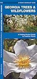 Georgia Trees & Wildflowers: A Folding Pocket Guide to Familiar Plants (Nature Observation North America)