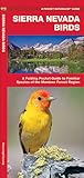 Sierra Nevada Birds: A Folding Pocket Guide to Familiar Species of the Montane Forest Region (Nature Observation North America)