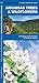 Arkansas Trees & Wildflowers by James Kavanagh Waterford Press