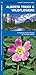 Alberta Trees & Wildflowers (Nature Observation North America)