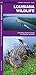 Louisiana Wildlife (Nature Observation North America)