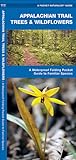 Appalachian Scenic Trail Trees & Wildflowers: A Pocket Guide to Familiar Species (Nature Observation North America)