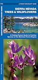 Sierra Nevada Trees & Wildflowers: A Folding Pocket Guide to Familiar Plants of the Montane Forest Region (Nature Observation North America)