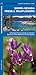 Sierra Nevada Trees & Wildflowers (Nature Observation North America)