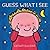Guess What I See (Guess series)