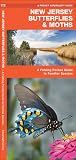 New Jersey Butterflies & Moths: An Introduction to Familiar Species (Wildlife and Nature Identification)