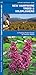 New Hampshire Trees & Wildflowers (Nature Observation North America)
