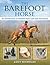 The Barefoot Horse by Lucy Nicholas