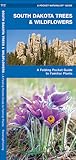 South Dakota Trees & Wildflowers: A Folding Pocket Guide to Familiar Plants (Nature Observation North America)
