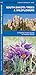 South Dakota Trees & Wildflowers (Nature Observation North America)