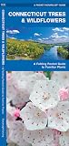 Connecticut Trees & Wildflowers: A Folding Pocket Guide to Familiar Plants (Nature Observation North America) Connecticut Trees & Wildflowers: A Folding Pocket Guide to Familiar Plants (Nature Observation North America)