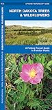 North Dakota Trees & Wildflowers: A Folding Pocket Guide to Familiar Plants (Nature Observation North America)