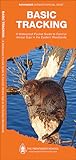 Basic Tracking: A Folding Pocket Guide to Familiar Animal Signs in the Eastern Woodlands (Outdoor Recreation and Survival)