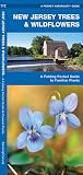 New Jersey Trees & Wildflowers: A Folding Pocket Guide to Familiar Plants (Wildlife and Nature Identification)