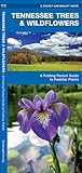 Tennessee Trees & Wildflowers: A Folding Pocket Guide to Familiar Plants (Nature Observation North America)