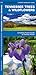 Tennessee Trees & Wildflowers (Nature Observation North America)