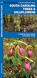 South Carolina Trees & Wildflowers: A Folding Pocket Guide to Familiar Plants (Wildlife and Nature Identification)