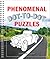 Phenomenal Dot-to-Dot Puzzles