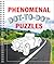 Phenomenal Dot-to-Dot Puzzles (Connectivity)